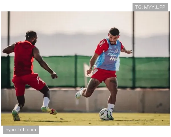 纽卡斯尔转会窗积极引援，新星加盟助力球队竞争力跃升